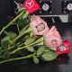 Rose Flower Drucker Rose Flower Drucker
