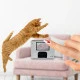 Smart Nail Printer Machine With Touch Screen