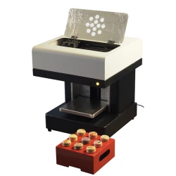 Cake Printer Pizza Printer Edible Food Printer