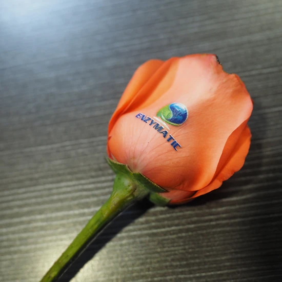 Multifunction flower printer printing on artificial and real flower petals
