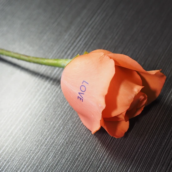 Multifunction flower printer printing on artificial and real flower petals